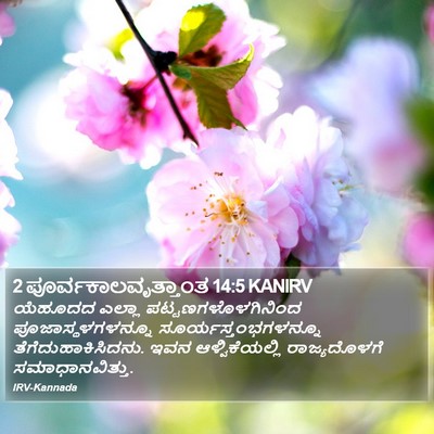 2 ಪೂರ್ವಕಾಲವೃತ್ತಾಂತ 14:5 KANIRV Bible Verse Image