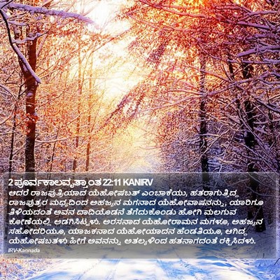 2 ಪೂರ್ವಕಾಲವೃತ್ತಾಂತ 22:11 KANIRV Bible Verse Image