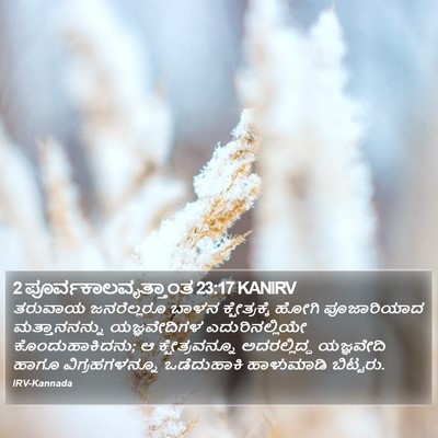 2 ಪೂರ್ವಕಾಲವೃತ್ತಾಂತ 23:17 KANIRV Bible Verse Image