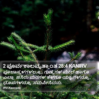 2 ಪೂರ್ವಕಾಲವೃತ್ತಾಂತ 28:4 KANIRV Bible Verse Image