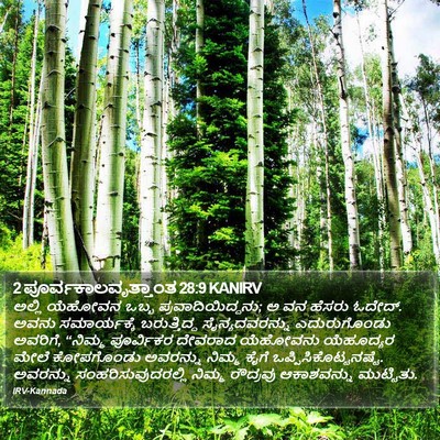 2 ಪೂರ್ವಕಾಲವೃತ್ತಾಂತ 28:9 KANIRV Bible Verse Image