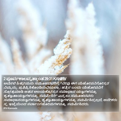 2 ಪೂರ್ವಕಾಲವೃತ್ತಾಂತ 29:31 KANIRV Bible Verse Image