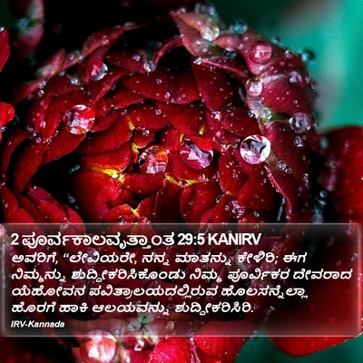 2 ಪೂರ್ವಕಾಲವೃತ್ತಾಂತ 29:5 KANIRV Bible Verse Image