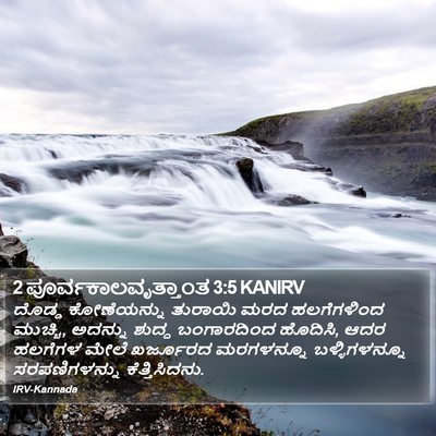2 ಪೂರ್ವಕಾಲವೃತ್ತಾಂತ 3:5 KANIRV Bible Verse Image