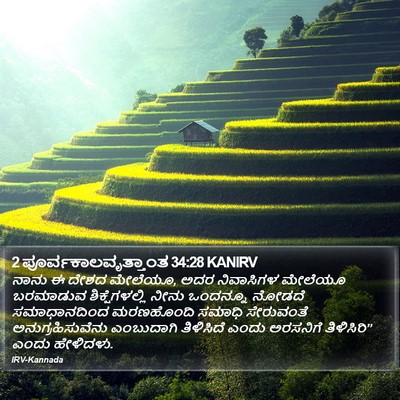 2 ಪೂರ್ವಕಾಲವೃತ್ತಾಂತ 34:28 KANIRV Bible Verse Image