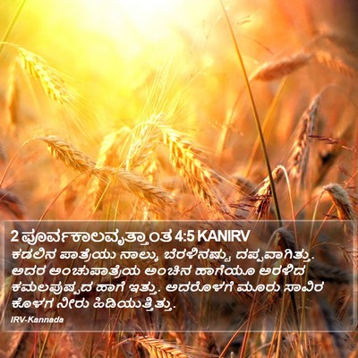 2 ಪೂರ್ವಕಾಲವೃತ್ತಾಂತ 4:5 KANIRV Bible Verse Image