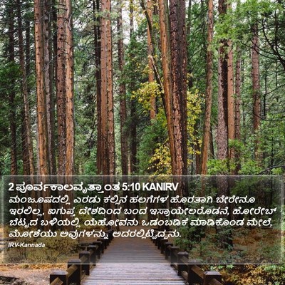 2 ಪೂರ್ವಕಾಲವೃತ್ತಾಂತ 5:10 KANIRV Bible Verse Image