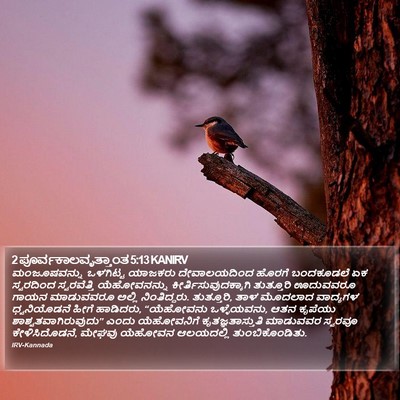 2 ಪೂರ್ವಕಾಲವೃತ್ತಾಂತ 5:13 KANIRV Bible Verse Image
