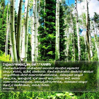2 ಪೂರ್ವಕಾಲವೃತ್ತಾಂತ 7:7 KANIRV Bible Verse Image