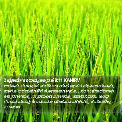 2 ಪೂರ್ವಕಾಲವೃತ್ತಾಂತ 9:11 KANIRV Bible Verse Image