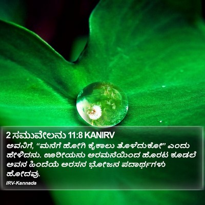 2 ಸಮುವೇಲನು 11:8 KANIRV Bible Verse Image