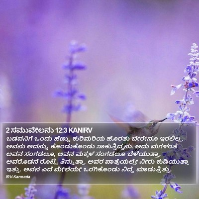 2 ಸಮುವೇಲನು 12:3 KANIRV Bible Verse Image