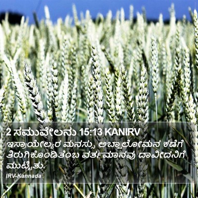2 ಸಮುವೇಲನು 15:13 KANIRV Bible Verse Image