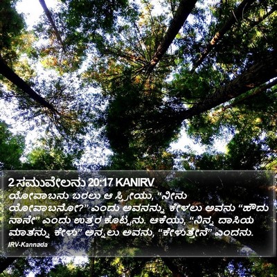 2 ಸಮುವೇಲನು 20:17 KANIRV Bible Verse Image