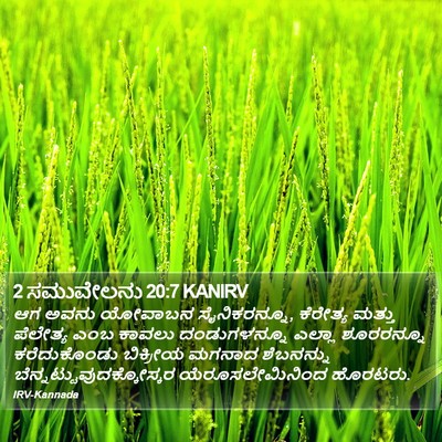2 ಸಮುವೇಲನು 20:7 KANIRV Bible Verse Image