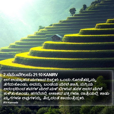 2 ಸಮುವೇಲನು 21:10 KANIRV Bible Verse Image