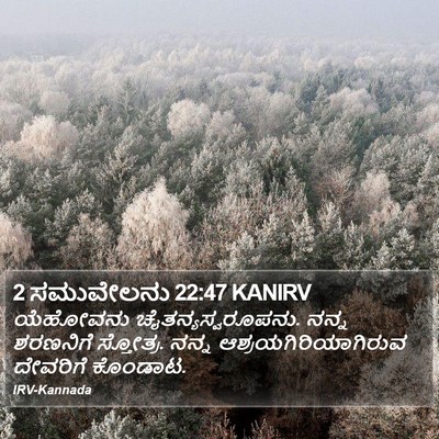 2 ಸಮುವೇಲನು 22:47 KANIRV Bible Verse Image