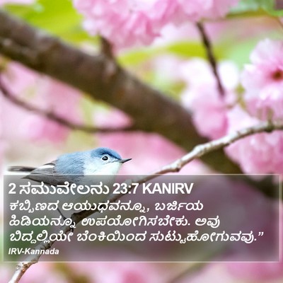 2 ಸಮುವೇಲನು 23:7 KANIRV Bible Verse Image
