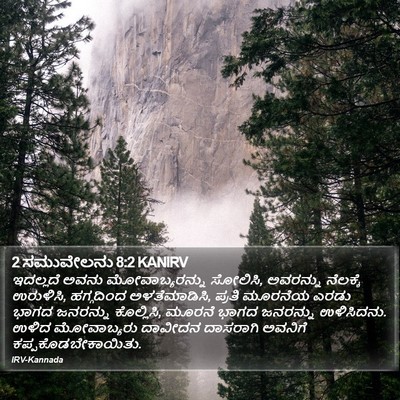 2 ಸಮುವೇಲನು 8:2 KANIRV Bible Verse Image
