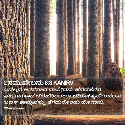 2 ಸಮುವೇಲನು 8:8 KANIRV Bible Verse Image