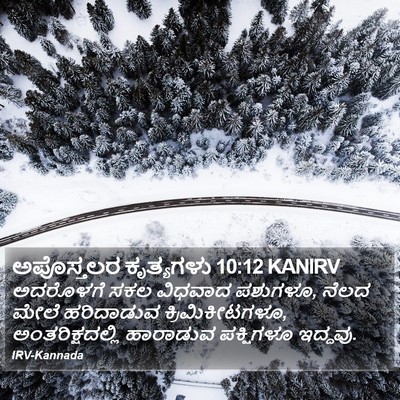 ಅಪೊಸ್ತಲರ ಕೃತ್ಯಗಳು 10:12 KANIRV Bible Verse Image