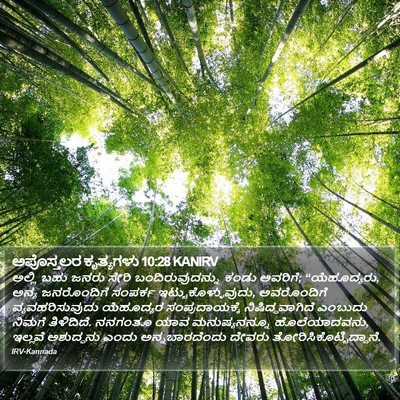 ಅಪೊಸ್ತಲರ ಕೃತ್ಯಗಳು 10:28 KANIRV Bible Verse Image