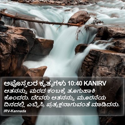 ಅಪೊಸ್ತಲರ ಕೃತ್ಯಗಳು 10:40 KANIRV Bible Verse Image