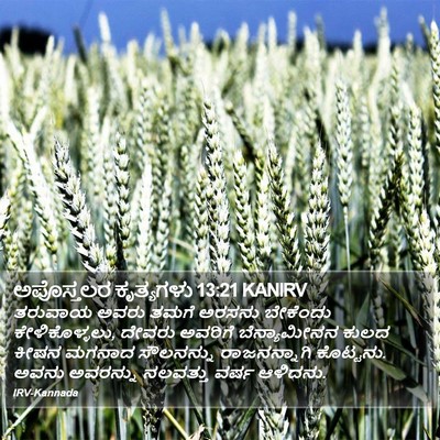 ಅಪೊಸ್ತಲರ ಕೃತ್ಯಗಳು 13:21 KANIRV Bible Verse Image