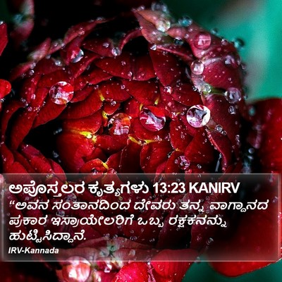 ಅಪೊಸ್ತಲರ ಕೃತ್ಯಗಳು 13:23 KANIRV Bible Verse Image