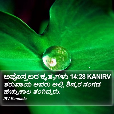 ಅಪೊಸ್ತಲರ ಕೃತ್ಯಗಳು 14:28 KANIRV Bible Verse Image