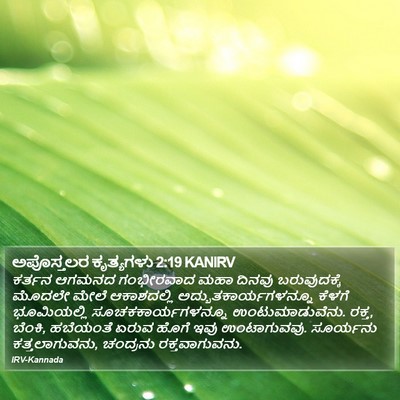 ಅಪೊಸ್ತಲರ ಕೃತ್ಯಗಳು 2:19 KANIRV Bible Verse Image