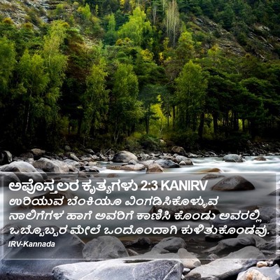 ಅಪೊಸ್ತಲರ ಕೃತ್ಯಗಳು 2:3 KANIRV Bible Verse Image
