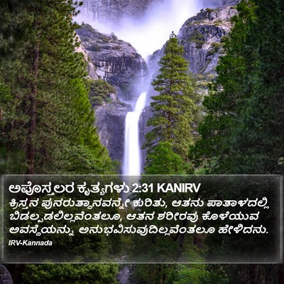 ಅಪೊಸ್ತಲರ ಕೃತ್ಯಗಳು 2:31 KANIRV Bible Verse Image