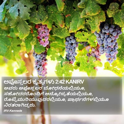 ಅಪೊಸ್ತಲರ ಕೃತ್ಯಗಳು 2:42 KANIRV Bible Verse Image
