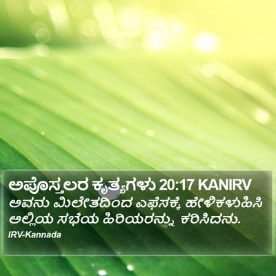 ಅಪೊಸ್ತಲರ ಕೃತ್ಯಗಳು 20:17 KANIRV Bible Verse Image