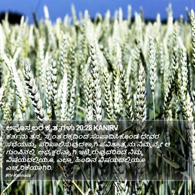 ಅಪೊಸ್ತಲರ ಕೃತ್ಯಗಳು 20:28 KANIRV Bible Verse Image