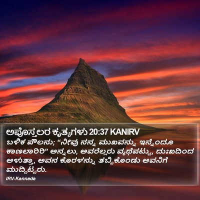 ಅಪೊಸ್ತಲರ ಕೃತ್ಯಗಳು 20:37 KANIRV Bible Verse Image