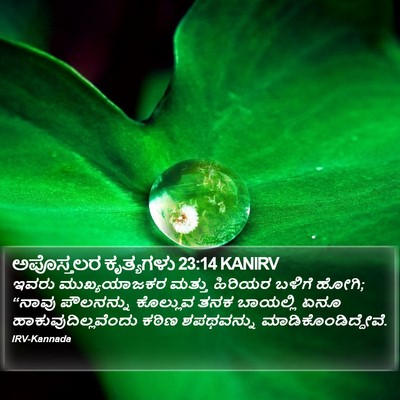 ಅಪೊಸ್ತಲರ ಕೃತ್ಯಗಳು 23:14 KANIRV Bible Verse Image