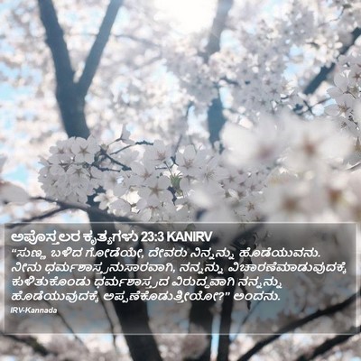 ಅಪೊಸ್ತಲರ ಕೃತ್ಯಗಳು 23:3 KANIRV Bible Verse Image