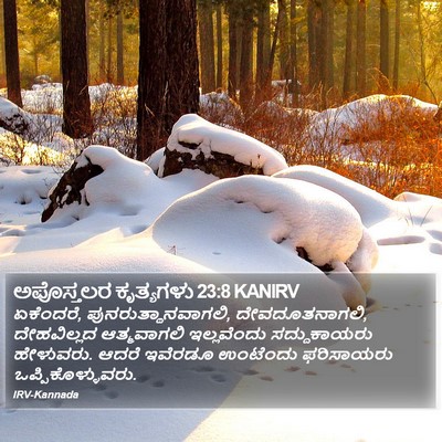 ಅಪೊಸ್ತಲರ ಕೃತ್ಯಗಳು 23:8 KANIRV Bible Verse Image