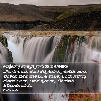 ಅಪೊಸ್ತಲರ ಕೃತ್ಯಗಳು 28:3 KANIRV Bible Verse Image