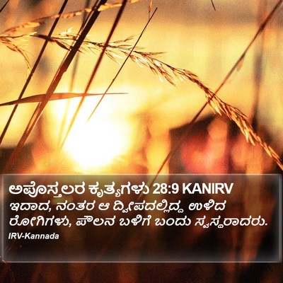 ಅಪೊಸ್ತಲರ ಕೃತ್ಯಗಳು 28:9 KANIRV Bible Verse Image