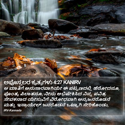 ಅಪೊಸ್ತಲರ ಕೃತ್ಯಗಳು 4:27 KANIRV Bible Verse Image