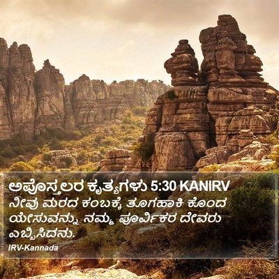 ಅಪೊಸ್ತಲರ ಕೃತ್ಯಗಳು 5:30 KANIRV Bible Verse Image