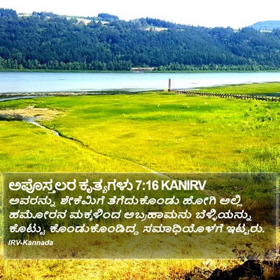 ಅಪೊಸ್ತಲರ ಕೃತ್ಯಗಳು 7:16 KANIRV Bible Verse Image