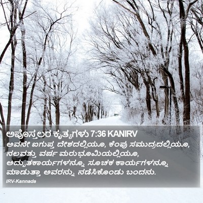 ಅಪೊಸ್ತಲರ ಕೃತ್ಯಗಳು 7:36 KANIRV Bible Verse Image