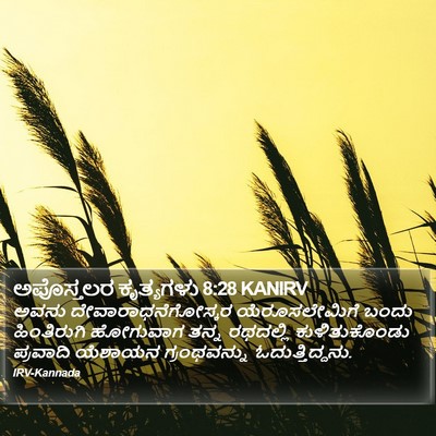 ಅಪೊಸ್ತಲರ ಕೃತ್ಯಗಳು 8:28 KANIRV Bible Verse Image