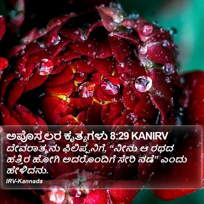 ಅಪೊಸ್ತಲರ ಕೃತ್ಯಗಳು 8:29 KANIRV Bible Verse Image