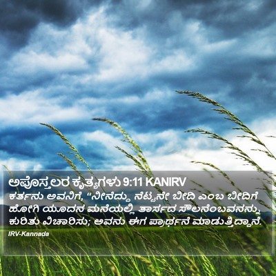 ಅಪೊಸ್ತಲರ ಕೃತ್ಯಗಳು 9:11 KANIRV Bible Verse Image
