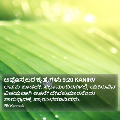 ಅಪೊಸ್ತಲರ ಕೃತ್ಯಗಳು 9:20 KANIRV Bible Verse Image